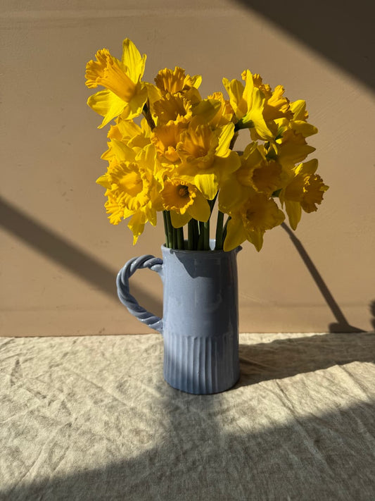 agenoria pitcher blue