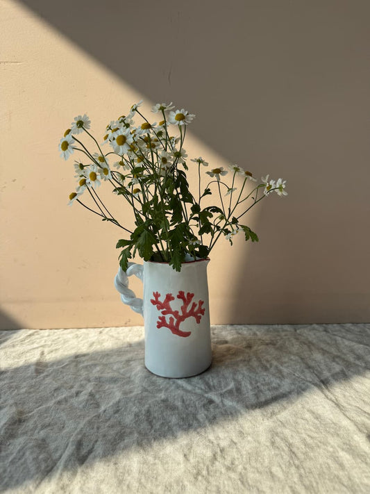 salacia pitcher coral