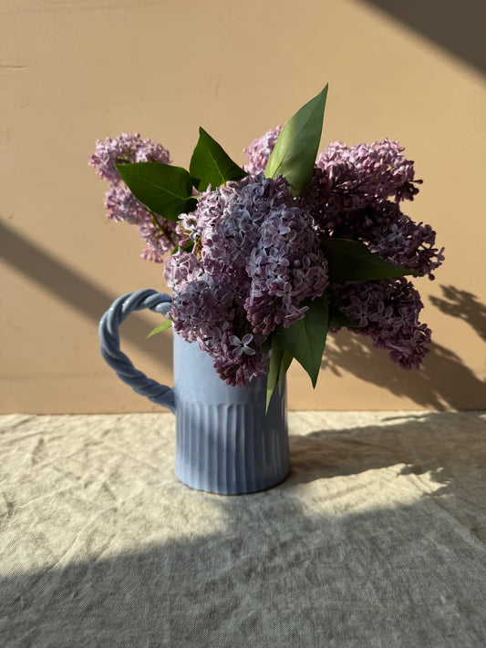 agenoria pitcher blue